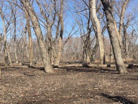 Daniel Salls Land Surveying - Photo 3