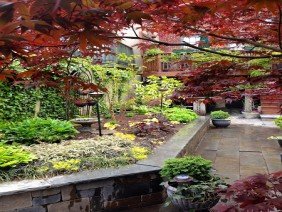 Amy's Garden Design - Photo 1