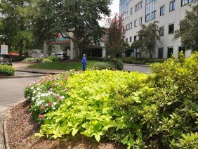 JubileeScape - Photo 3