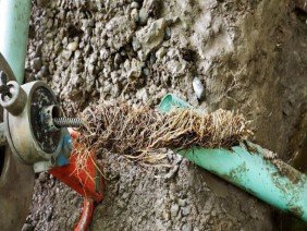 AZ Preferred Plumbing LLC - Photo -1