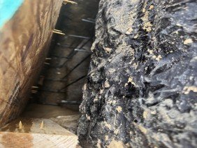 Maryland Mold and Waterproofing - Photo 3