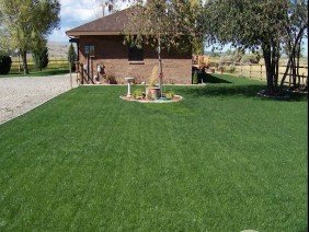 Beartooth Hydroseed - Photo -1