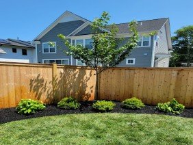 Blue Collar Scholars Landscaping and Construction - Photo 2