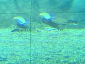 Crane Land Surveying PC - Photo 0