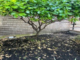 Value Dry Waterproofing - Photo 3