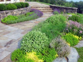 Offshoots, Inc. - Photo 5