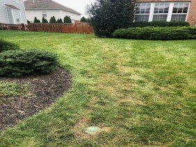 Exterior Waterproofing Experts, A Division of Clifton Contracting - Photo 3