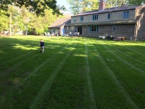 Perennial Landscaping - Photo 2