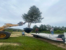 JubileeScape - Photo 1