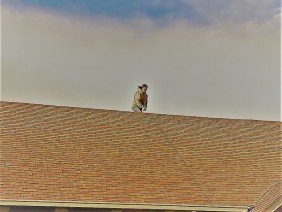 Breit Roofing - Photo 6