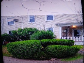 Tims tree & landscaping - Photo 1