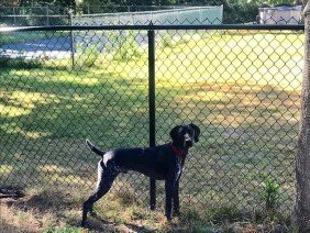 Hulme Fence - Photo -1