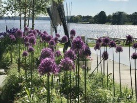 Walnut Hill Landscape Company - Photo 6