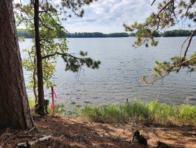 NorthCentral Land Surveying, LLC - Photo 1