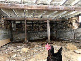 Lamothe Spray Foam Insulation - Photo 2