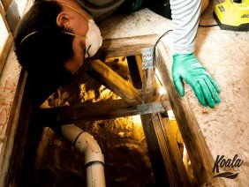 Koala Insulation of Superstition Springs - Photo 1