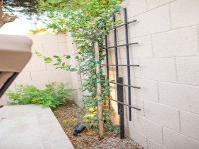 The Yard Stylist - Photo 1