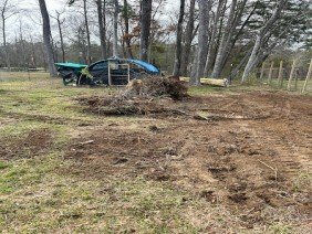 Blue Grove Land Clearing & Dirt Work - Photo 0