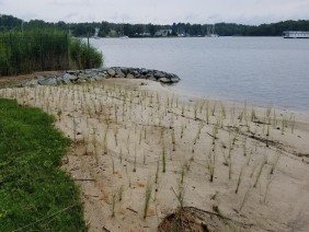 Waterfront Engineering, Design & Construction Inc. - Photo 2