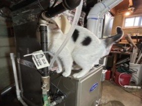 Residential Heating and Air Conditioning - Photo 0