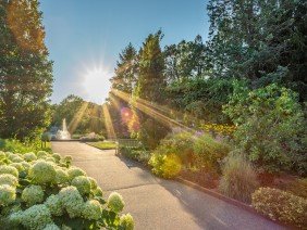 Minnesota Landscape Arboretum - Photo 6