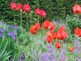 Rue Sherwood Landscape Design - Photo 0