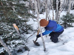 Delta Surveys Associates - Photo 0