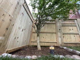 OutdoorBuilds & Landscaping - Photo 4