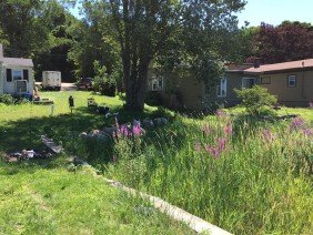 Vineyard Engineering & Environmental Services - Photo 3