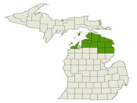 DogWatch by K9 Fencing of Michigan - Photo 1