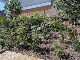 Beds & Borders Landscape Design, Inc. - Photo 0