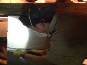 Foundation Pro - Photo -1