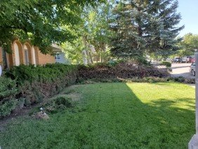 F&G Landscaping - Photo 1