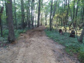 Bel Air Waterproofing, Inc. - Photo -1