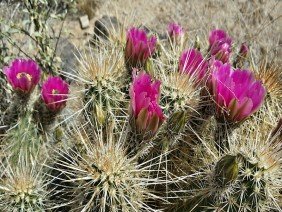 Scott's Az Services Plumbing & HVAC - Photo 0