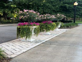 JubileeScape - Photo 5