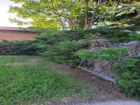 F&G Landscaping - Photo -1