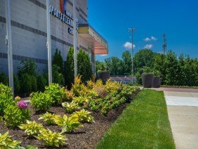 Level Green Landscaping - Photo 3