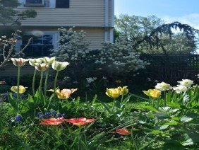 Moodscapes LLC - Photo 3