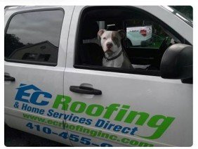 EC Roofing & Home Services Direct - Photo 5