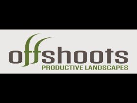 Offshoots, Inc. - Photo 1