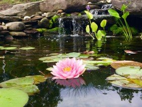 Maxalea, Inc. - Photo 2