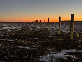 Prairie Creek Fence - Photo 5