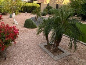 Phoenix Pro Landscaping & Lawn Care Services - Photo 5