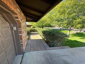 Phoenix Pro Landscaping & Lawn Care Services - Photo 4