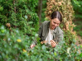 Reimagined Roots - Photo 5