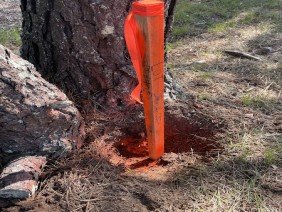 Land Management Systems, Inc - Photo 1