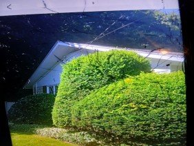 Tims tree & landscaping - Photo 4