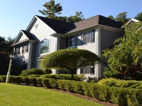 Alpha Painting - Photo 3