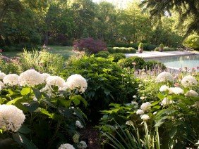 TDH Landscaping - Photo 0